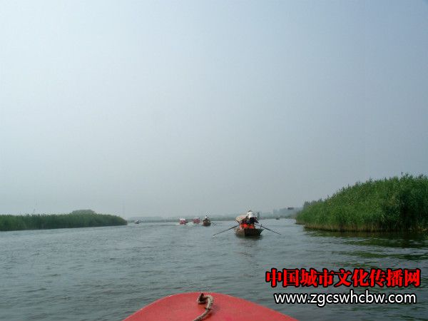 100_8285_meitu_48.jpg